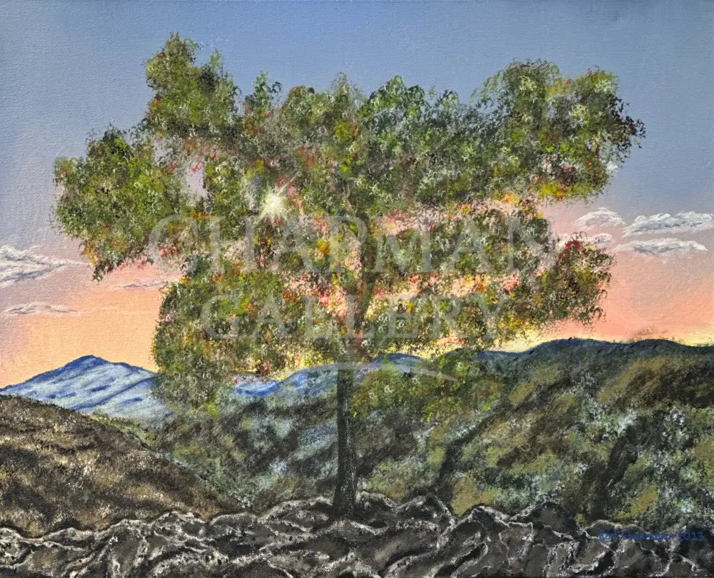 Landscape on Canvas - ’Standing Where Time Pauses’ 16’’ x 20’’ (406 x 508mm) Original Artwork
