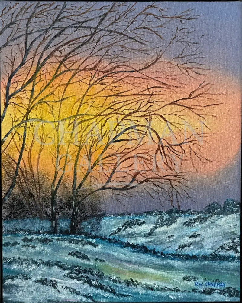 Winter Landscape Canvas - ’Golden Winter Light’ Original Artwork